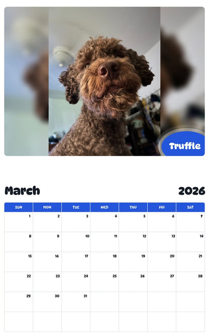 November 2025 - October 2026 Truffle - Pawidols Pet Calendar
