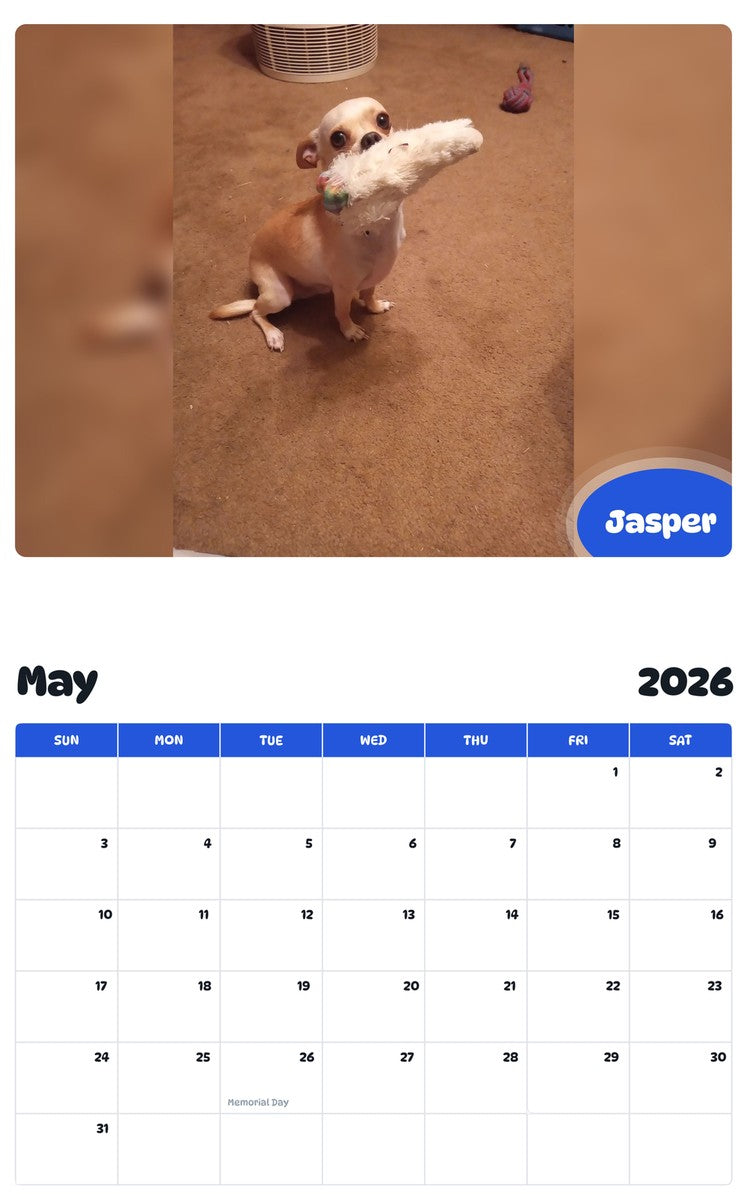 2026 - 2027 Jasper - Pawidols Pet Calendar