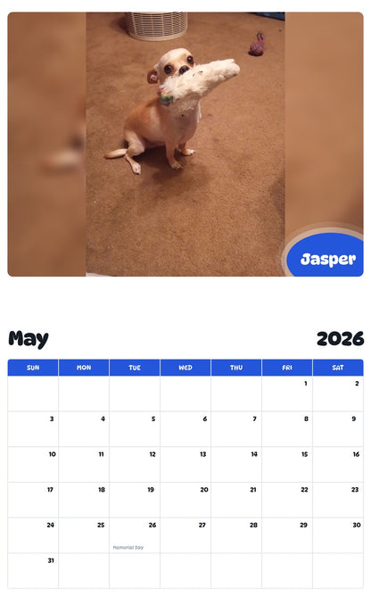 2026 - 2027 Jasper - Pawidols Pet Calendar