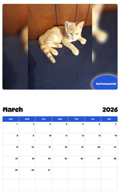 November 2025 - October 2026 Butterscotch - Pawidols Pet Calendar