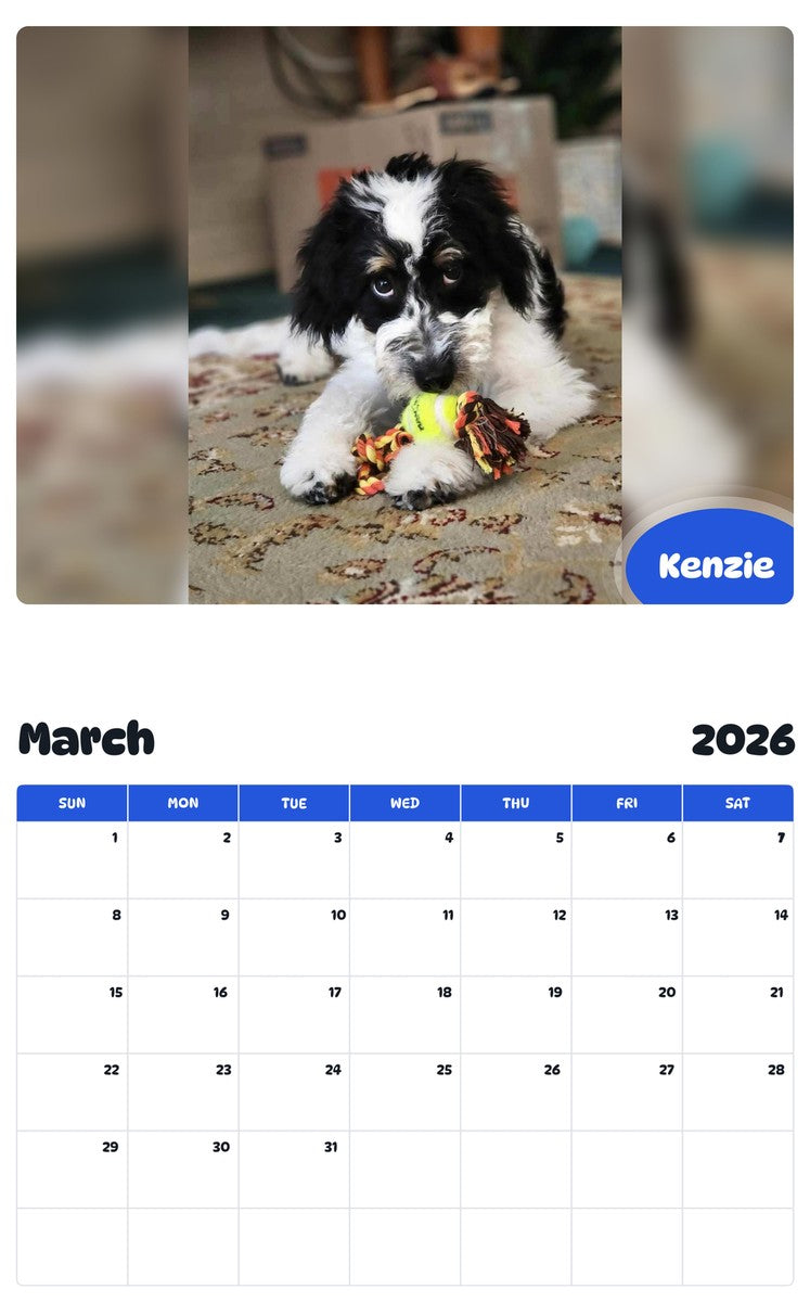 November 2025 - October 2026 Kenzie - Pawidols Pet Calendar