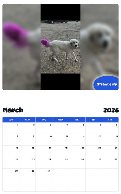 November 2025 - October 2026 Strawberry - Pawidols Pet Calendar