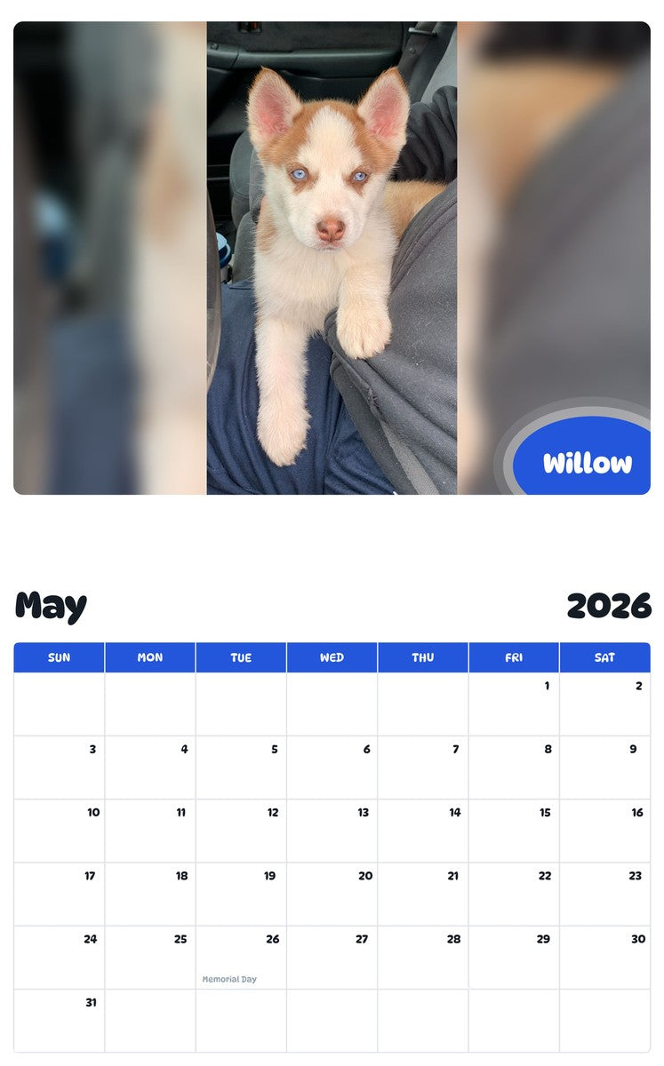 2026 - 2027 Willow - Pawidols Pet Calendar
