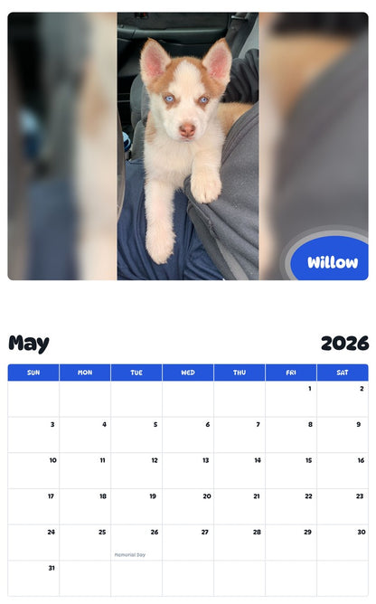 2026 - 2027 Willow - Pawidols Pet Calendar