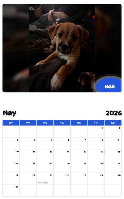 2026 - 2027 Ben - Pawidols Pet Calendar