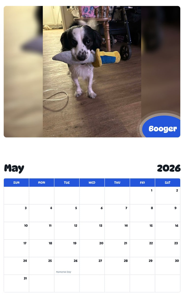 2026 - 2027 Booger - Pawidols Pet Calendar
