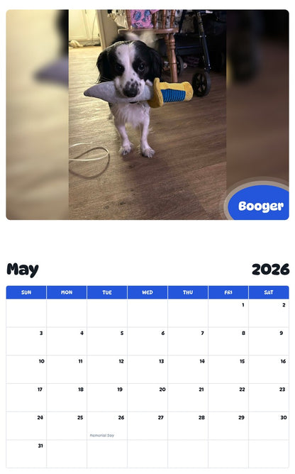 2026 - 2027 Booger - Pawidols Pet Calendar