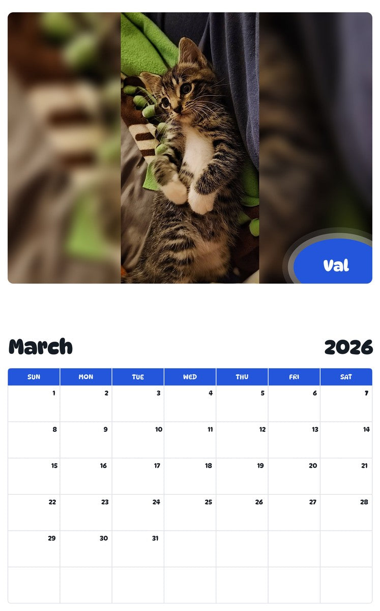 November 2025 - October 2026 Val - Pawidols Pet Calendar