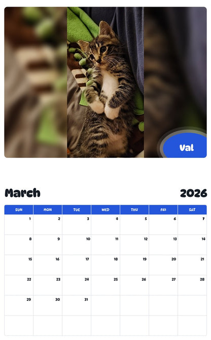 November 2025 - October 2026 Val - Pawidols Pet Calendar