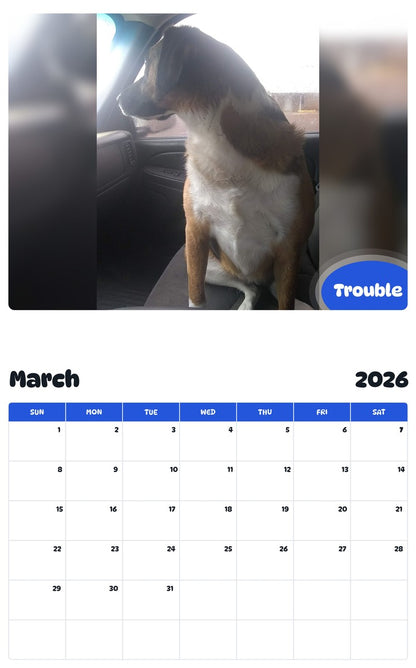 November 2025 - October 2026 Trouble - Pawidols Pet Calendar