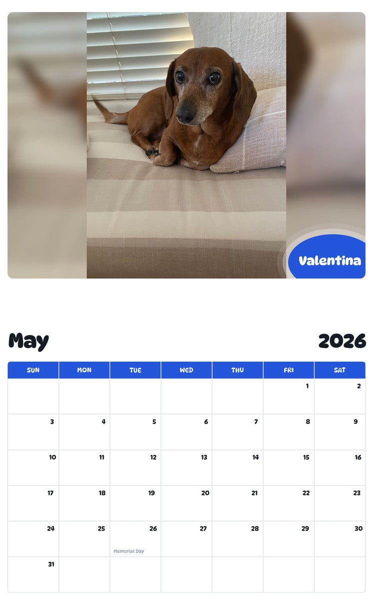 2026 - 2027 Valentina - Pawidols Pet Calendar