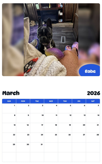 November 2025 - October 2026 Babe - Pawidols Pet Calendar