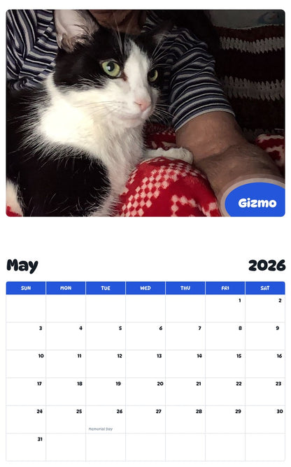 2026 - 2027 Gizmo - Pawidols Pet Calendar