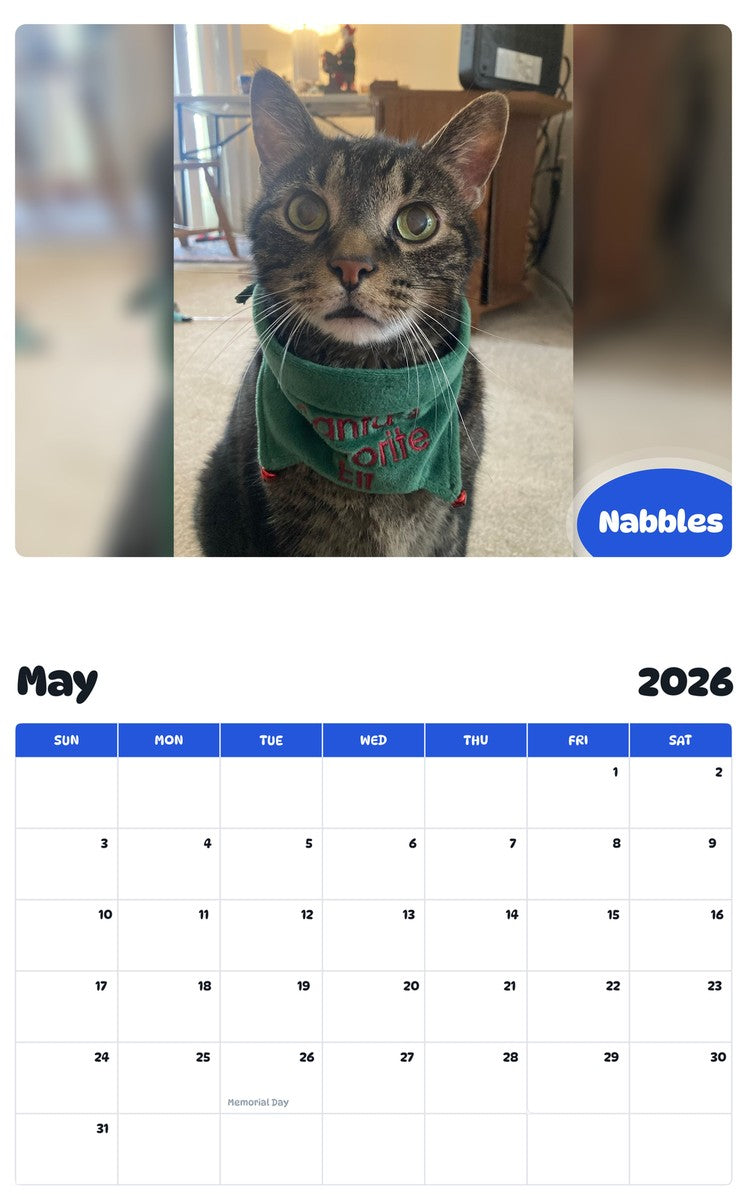 2026 - 2027 Nabbles - Pawidols Pet Calendar