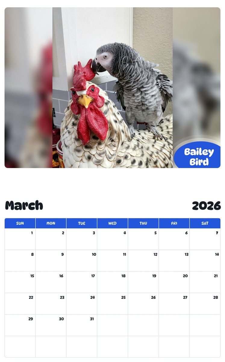 November 2025 - October 2026 Bailey Bird - Pawidols Pet Calendar