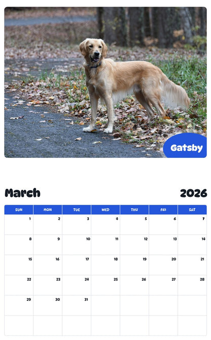November 2025 - October 2026 Gatsby - Pawidols Pet Calendar