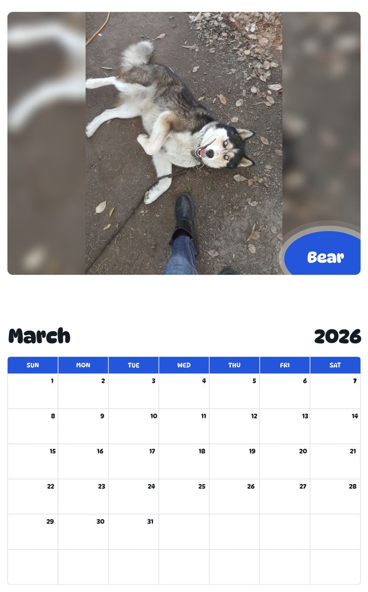 November 2025 - October 2026 Bear - Pawidols Pet Calendar