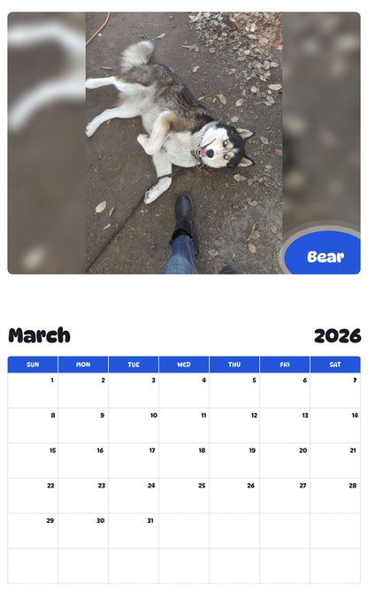 November 2025 - October 2026 Bear - Pawidols Pet Calendar