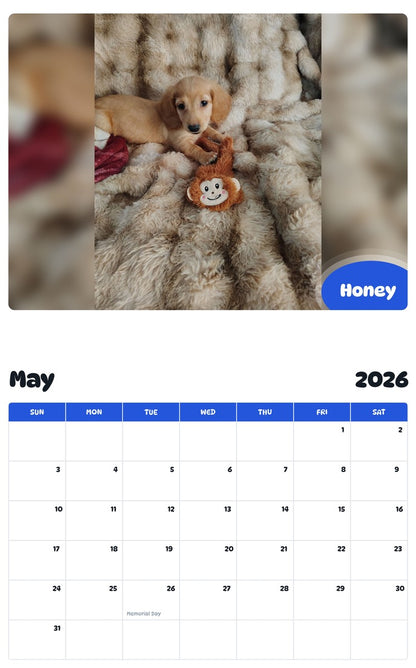 2026 - 2027 Honey - Pawidols Pet Calendar