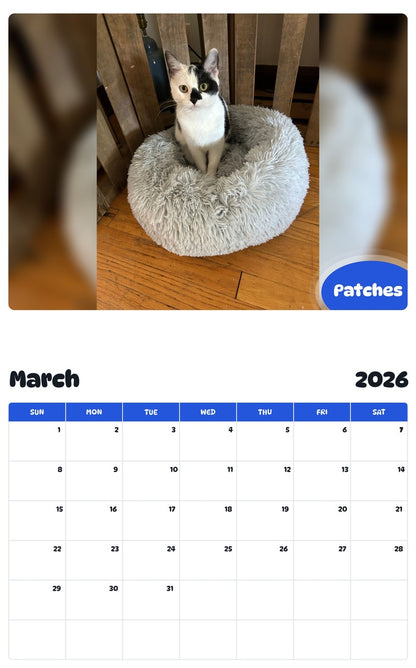 November 2025 - October 2026 Patches - Pawidols Pet Calendar