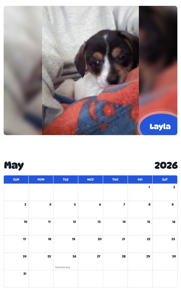 2026 - 2027 Layla - Pawidols Pet Calendar