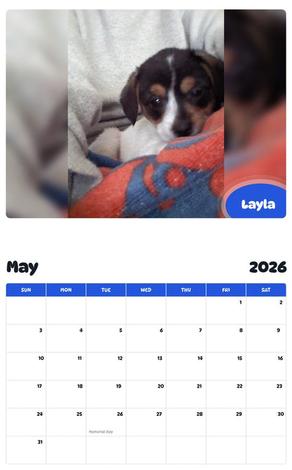 2026 - 2027 Layla - Pawidols Pet Calendar