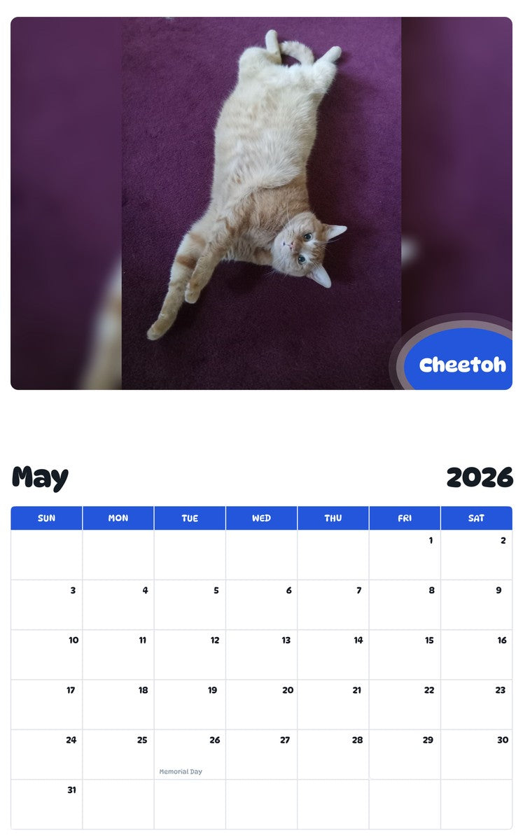 2026 - 2027 Cheetoh - Pawidols Pet Calendar