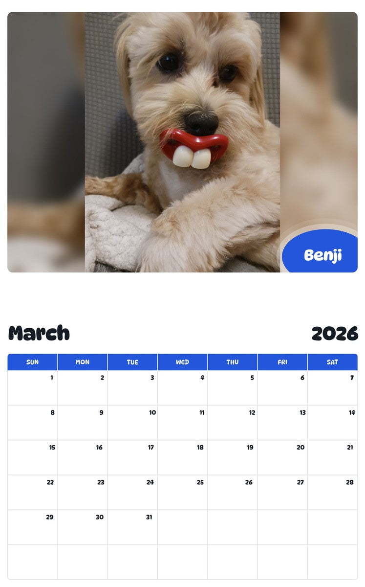 November 2025 - October 2026 Benji - Pawidols Pet Calendar