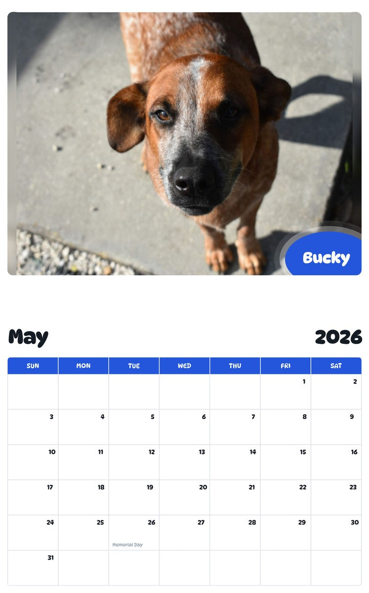 2026 - 2027 Bucky - Pawidols Pet Calendar