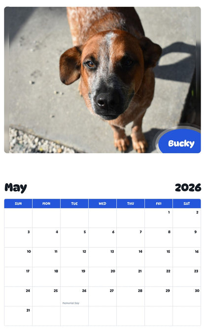2026 - 2027 Bucky - Pawidols Pet Calendar