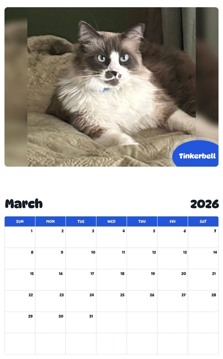 November 2025 - October 2026 Tinkerbell - Pawidols Pet Calendar