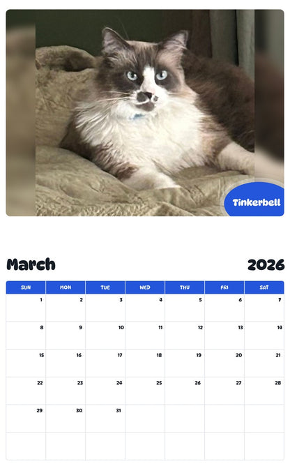 November 2025 - October 2026 Tinkerbell - Pawidols Pet Calendar