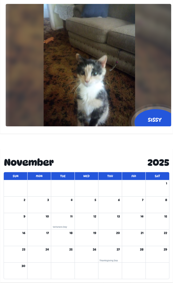 July 2025 - June 2026 Sissy - Pawidols Pet Calendar