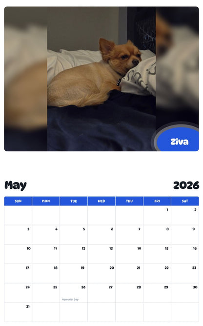 2026 - 2027 Ziva - Pawidols Pet Calendar