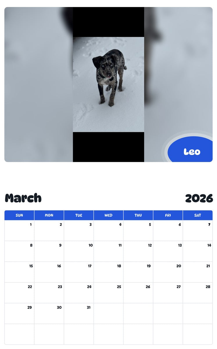 November 2025 - October 2026 Leo - Pawidols Pet Calendar