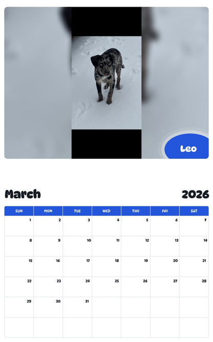 November 2025 - October 2026 Leo - Pawidols Pet Calendar