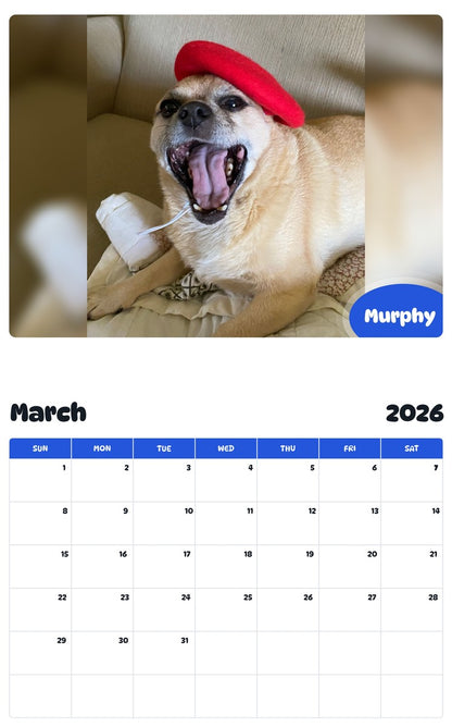November 2025 - October 2026 Murphy - Pawidols Pet Calendar