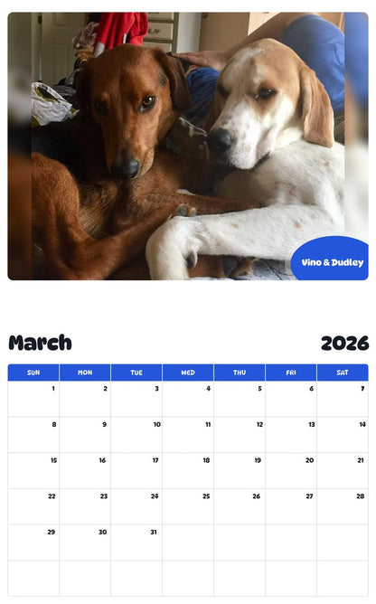 November 2025 - October 2026 Vino & Dudley - Pawidols Pet Calendar