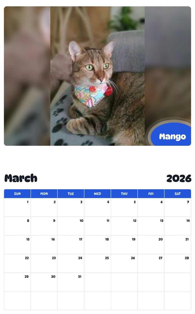 November 2025 - October 2026 Mango - Pawidols Pet Calendar