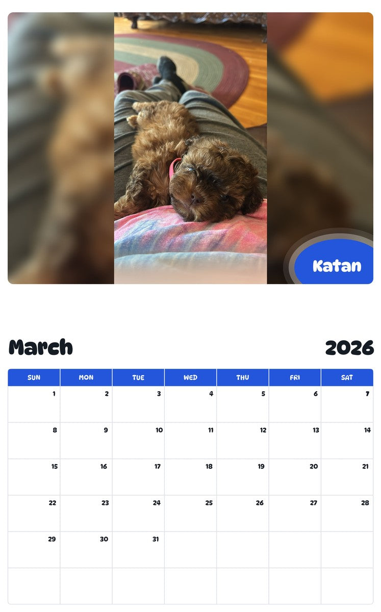 November 2025 - October 2026 Katan - Pawidols Pet Calendar