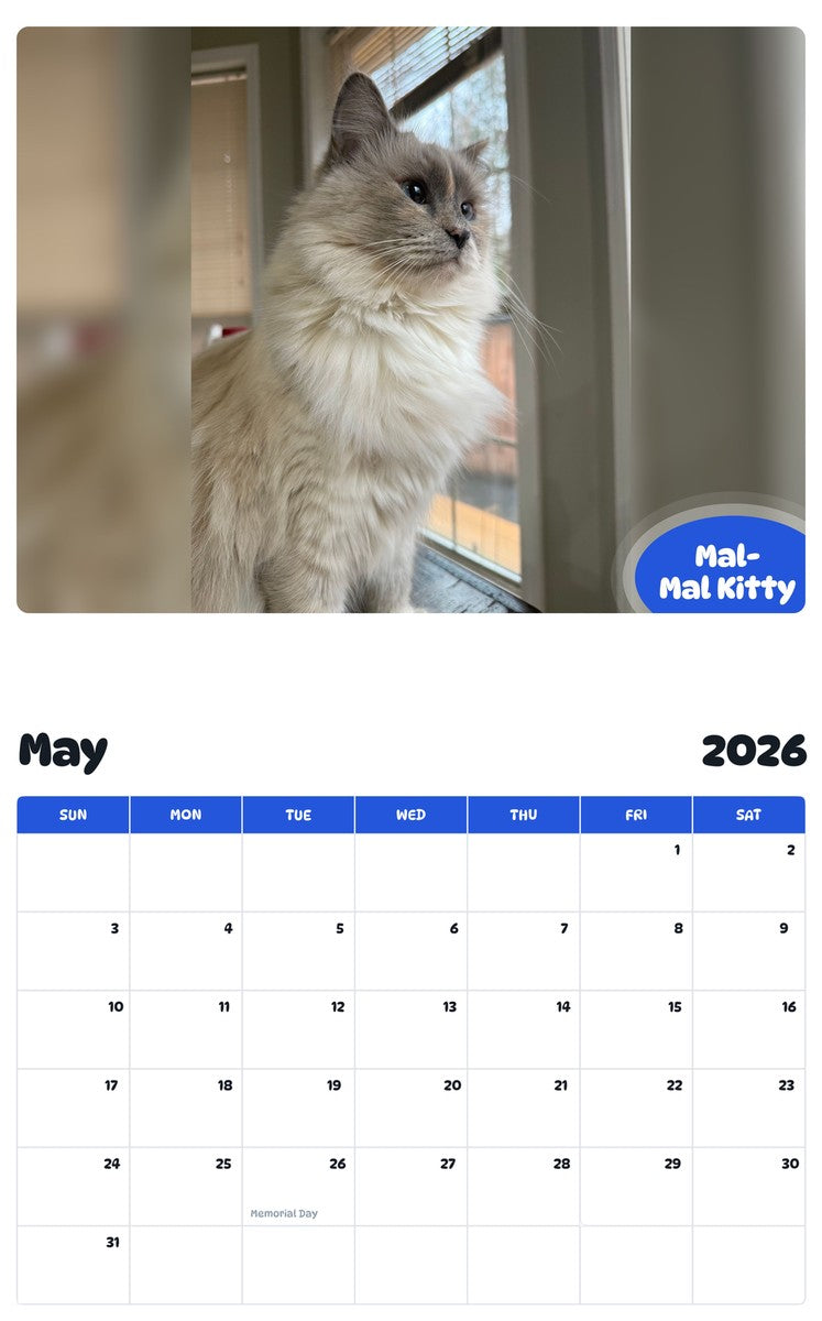 2026 - 2027 Mal-Mal Kitty - Pawidols Pet Calendar