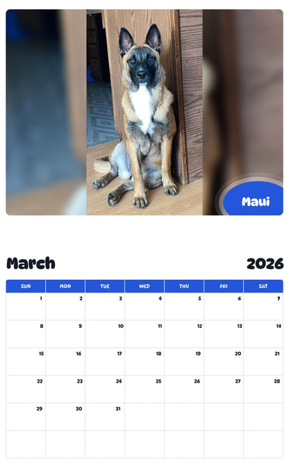 November 2025 - October 2026 Maui - Pawidols Pet Calendar