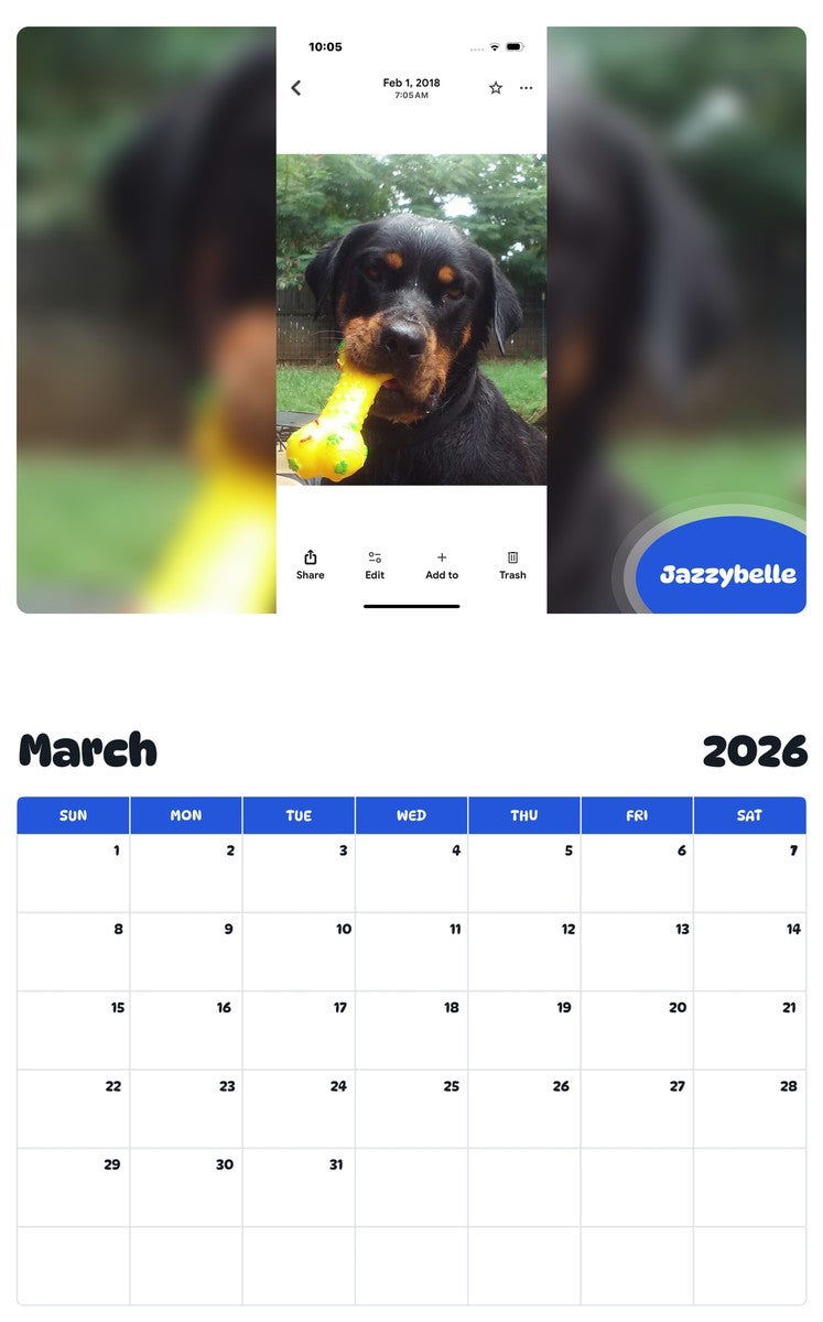 November 2025 - October 2026 Jazzybelle - Pawidols Pet Calendar