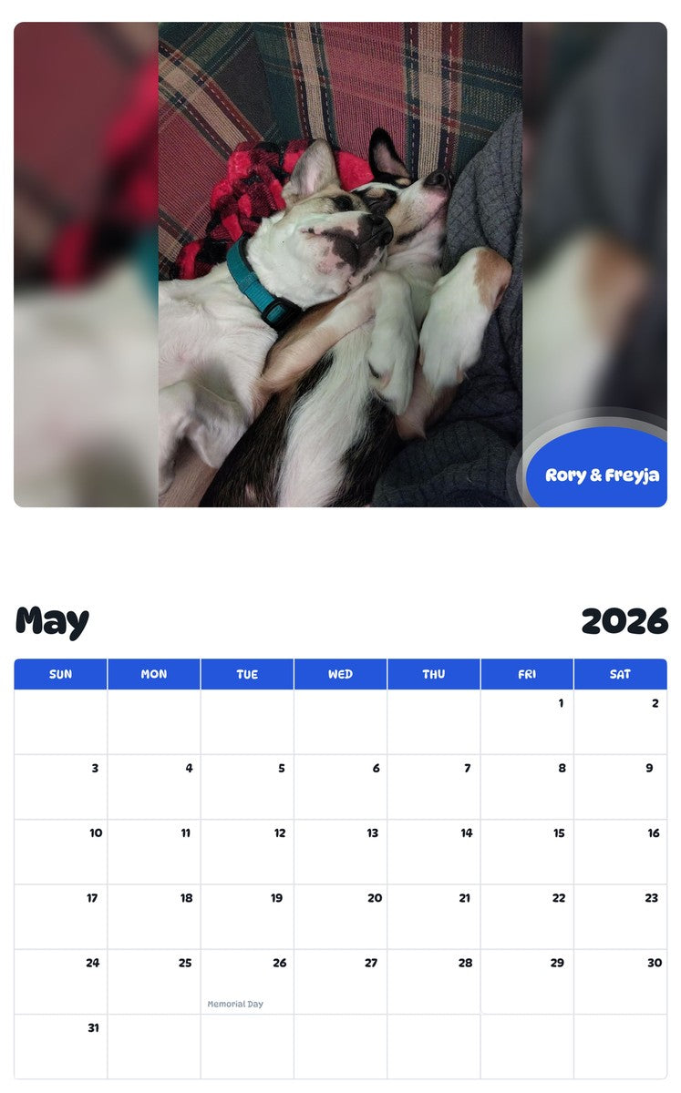 2026 - 2027 Rory & Freyja - Pawidols Pet Calendar