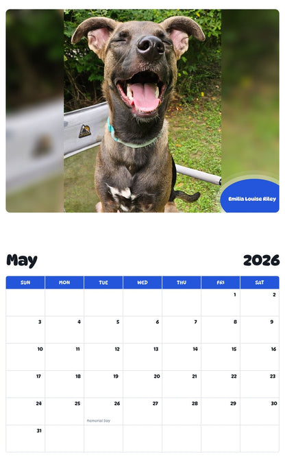 2026 - 2027 Emilia Louise Riley - Pawidols Pet Calendar