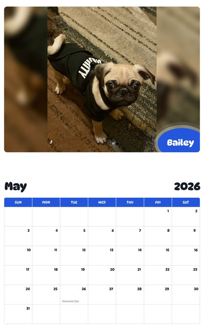 2026 - 2027 Bailey - Pawidols Pet Calendar
