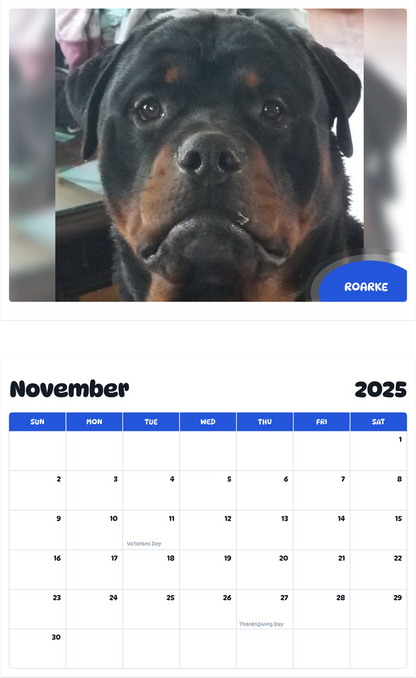 July 2025 - June 2026 Roarke - Pawidols Pet Calendar