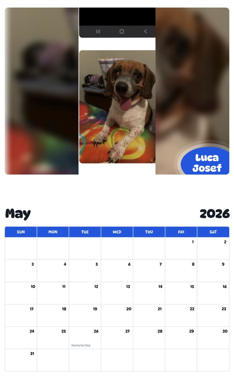 2026 - 2027 Luca Josef - Pawidols Pet Calendar
