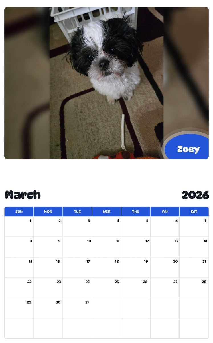 November 2025 - October 2026 Zoey - Pawidols Pet Calendar