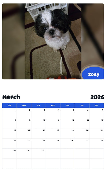 November 2025 - October 2026 Zoey - Pawidols Pet Calendar